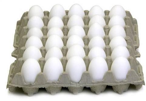 Poultry Eggs, Packaging Type : Caret, Tray