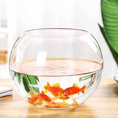 Neckless Glass Fish Bowl, Size : Multsize