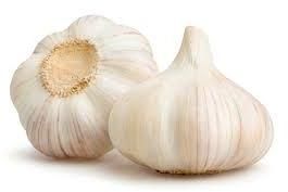 fresh garlic