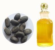 jatropha oil