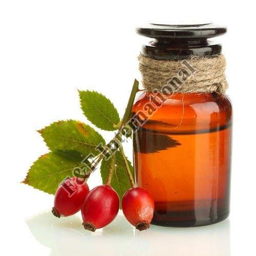 Rosehip Carrier Oil, Shelf Life : 1year