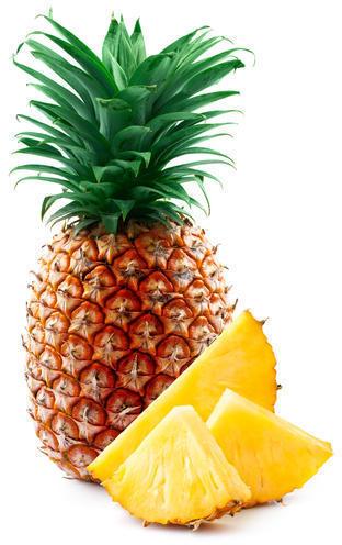 Fresh Pineapple, Packaging Type : Plastic Bag Or Polythene Bag