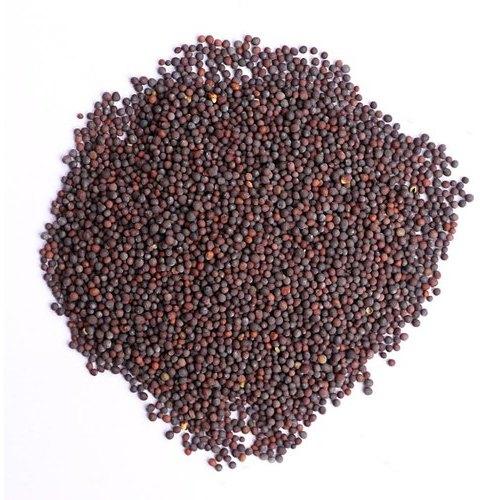 Brown Mustard Seeds, Packaging Type : Plastic Packet