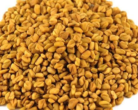 Raw fenugreek seeds, Packaging Type : Plastic Packet