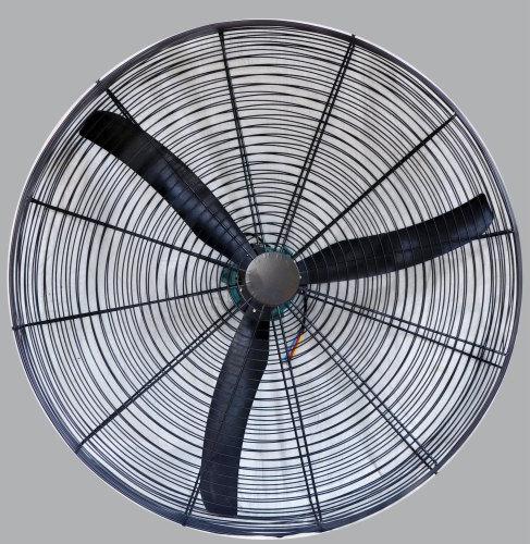 Poultry Air Circulation Fan, Voltage : 240V