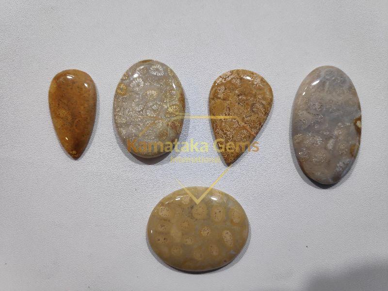 Fossil Coral stones - Karnataka Gems International, Jaipur, Rajasthan