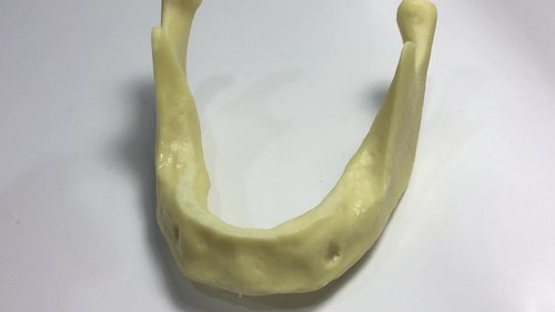 Drilling Practice Dental Model