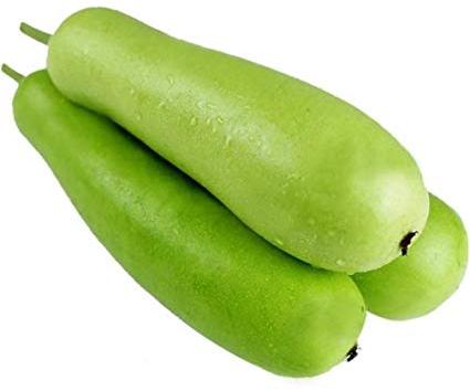 Organic Fresh Bottle Gourd, for Cooking, Color : Green