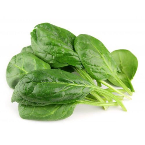 Fresh Malabar Spinach