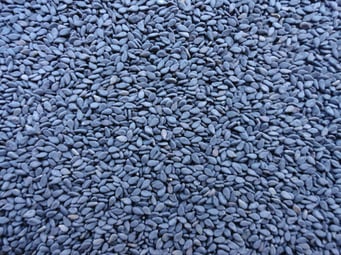 Z-Black Sortex Premium Sesame Seeds, for Agricultural, Style : Natural