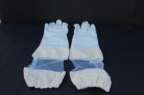 Cotton Bee Gloves, Size : Large