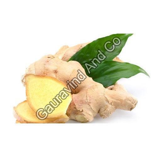 Organic Fresh Natural Ginger, Color : Brown