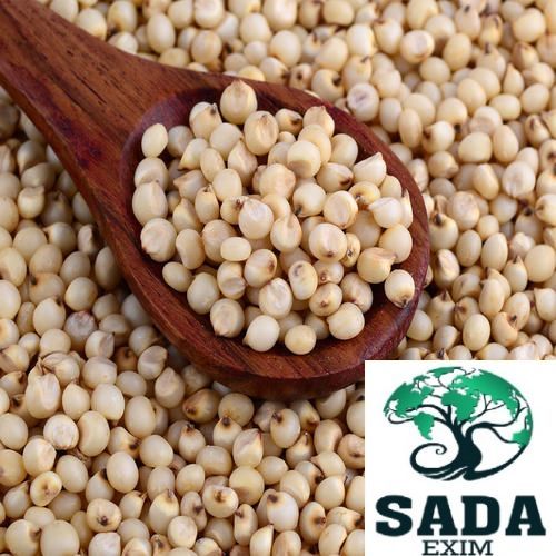 Organic Sorghum Seeds, For Cooking, Certification : FSSAI