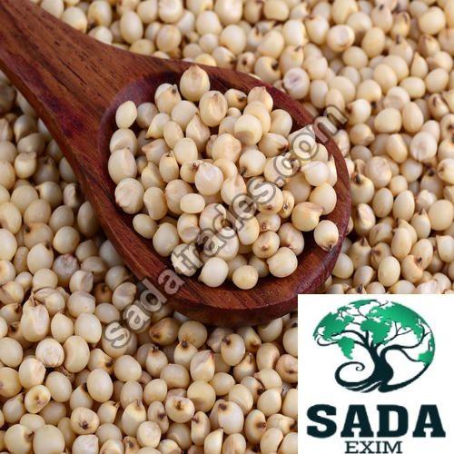 Organic Sorghum Seeds, for Cooking, Certification : FSSAI