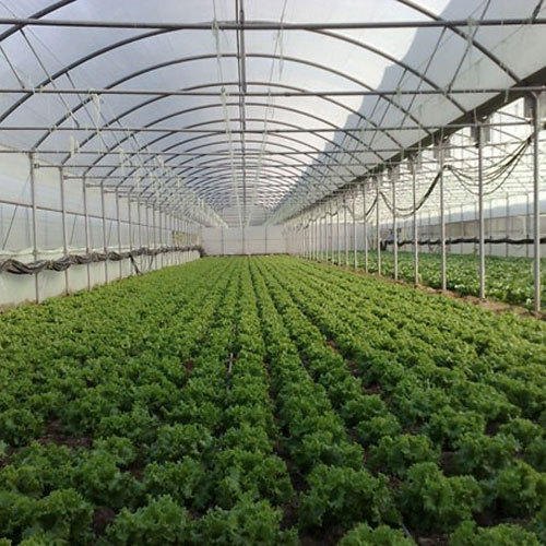 Plastic Poly House, for Agriculture, Feature : Durable, Quality Tested