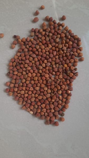 Natural Kala Chana, for Cooking, Food Medicine, Packaging Type : Plastic Pouch