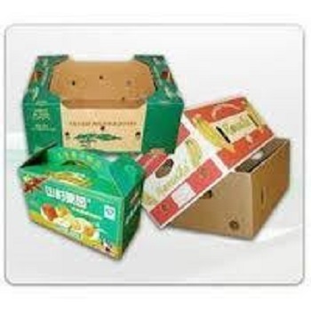 Paperboard Printed Fruit Packaging Boxes