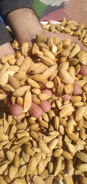 dry fruits