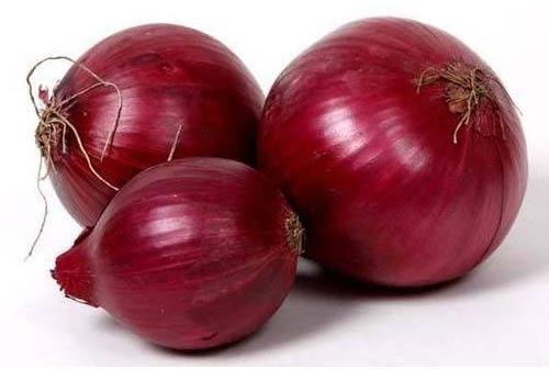 Organic fresh red onion, for Cooking, Style : Natural