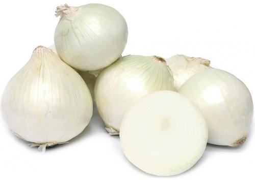 Oval Organic Fresh White Onion, for Cooking, Style : Natural