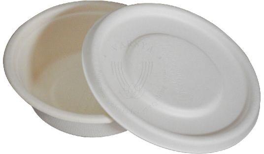 Biodegradable Bagasse 250 Ml Container with Lid - VARSYA