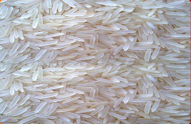 IR 36 Raw Basmati Rice