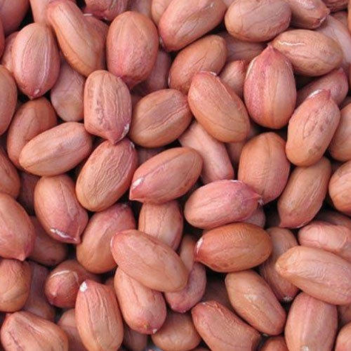 Natural Common Peanut Kernels, for Butter, Cooking Use, Making Oil, Feature : Fine Taste, Non Harmful