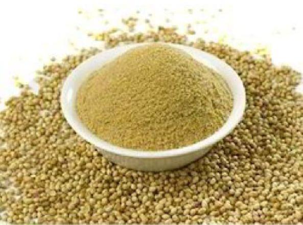 Corindar seeds powder, Feature : Long Shelf Life, Pure Quality