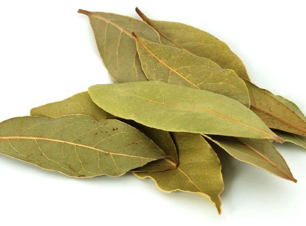 Bay Leaf, Shelf Life : 6 Months