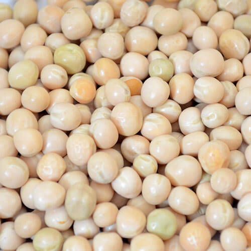 Natural Dry White Peas, For Cooking, Grade Standard : Food Grade