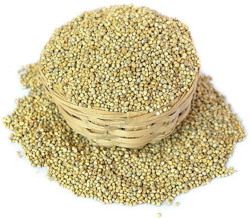 Natural Pearl Millet Seeds, For Cooking, Packaging Type : Gunny Bag