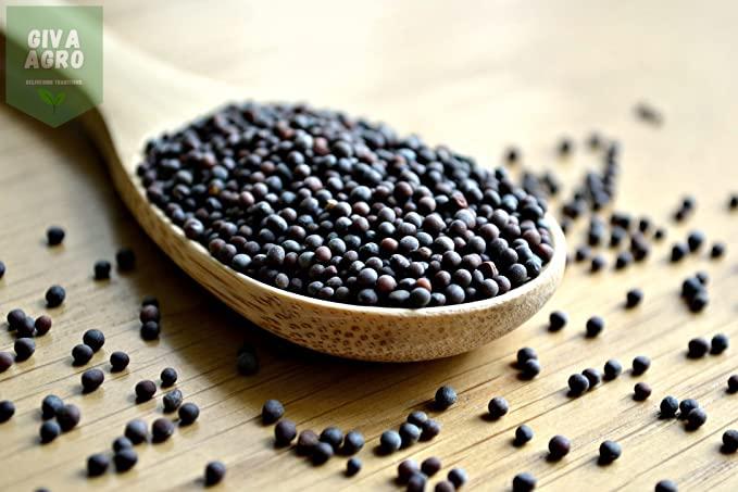 Natural black mustard seeds, for Cooking, Packaging Type : Plastic Packet, Paper Box