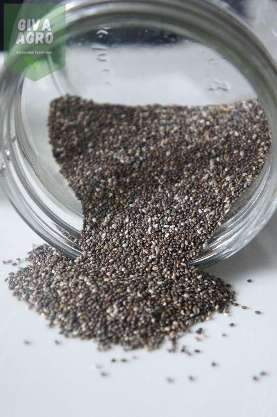Natural Chia Seeds, for Agriculture, Feature : Gluten Free