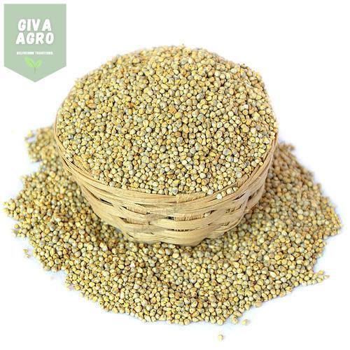 Natural Pearl Millet Seeds, for Cooking, Packaging Type : Gunny Bag