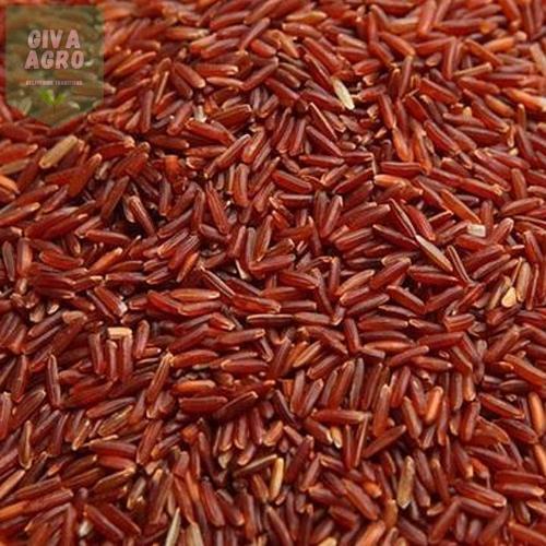Natural Red Rice, for Cooking, Human Consumption, Feature : Gluten Free