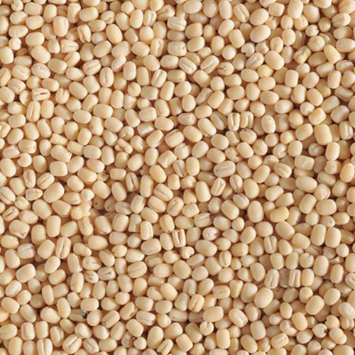 Whole Washed Black Gram/Urad Dal, Packaging Type : Plastic Packet