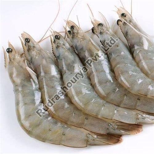 Frozen Vannamei Prawns, Packaging Type : Thermocol Box