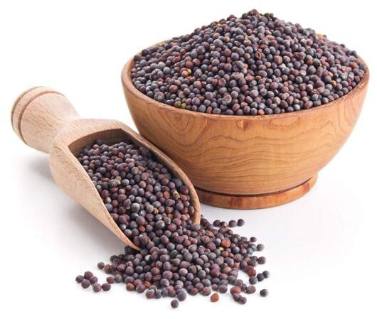 Organic Blended Mustard Seeds, for Cooking, Spices, Food Medicine, Form : Solid