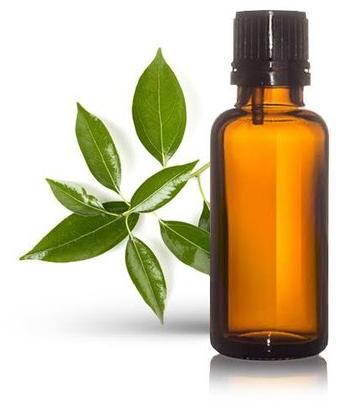 Camphor Essential Oil, Form : Liquid