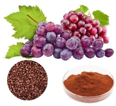 Grape Seed Extract (Vitis Vinifera)