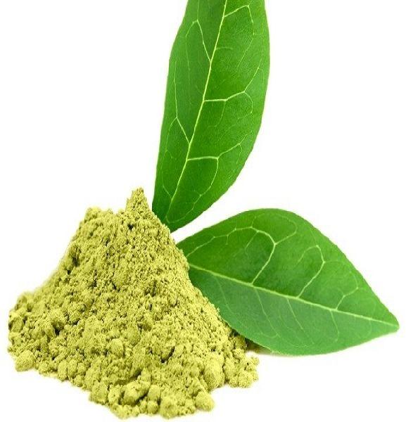 Green Tea Extract  (Camellia Sinensis)