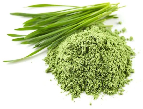 wheat grass powder