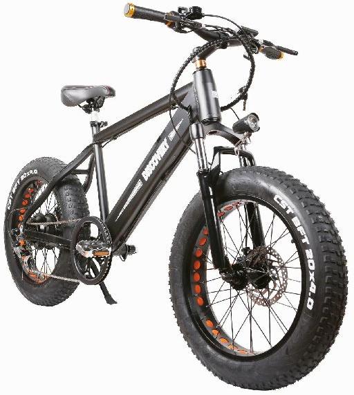 NAKTO 350W Electric Bike 20 Fat Tire Electric Bikes 6-Speed 48V10AH Battery