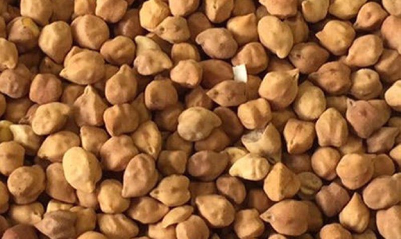Desi Chickpeas, Moisture : 10%-11% Max