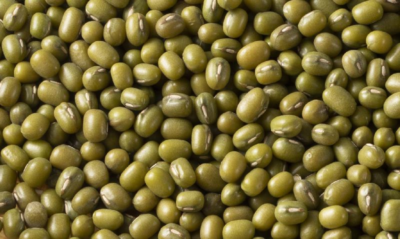 Green Mung Beans