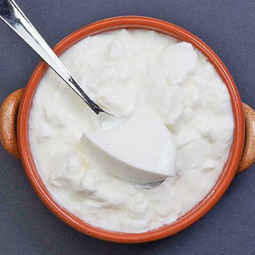 fresh curd