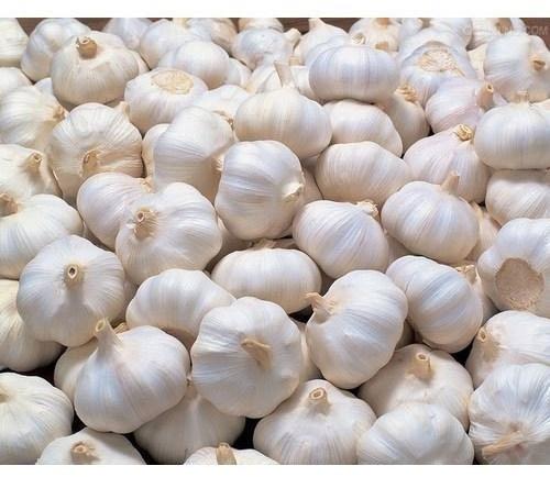 Organic fresh garlic, Packaging Type : Gunny Bags, Plastic Bags