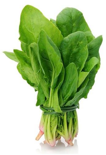 Organic Fresh Spinach Leaves, for Good Nutritions, Good Health, Packaging Type : Plastic Packet
