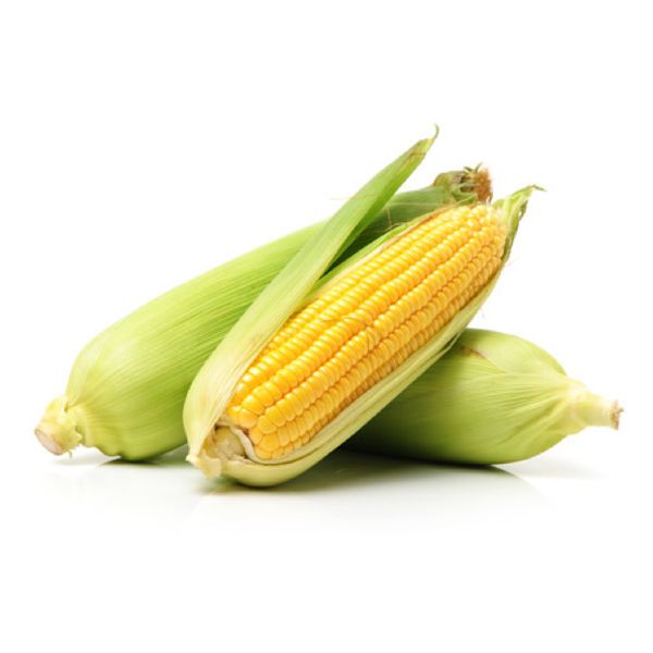 Organic Sweet Corn, for Good Nutritions, Good Health, Packaging Type : Plastic Pouch, Plastic Packet