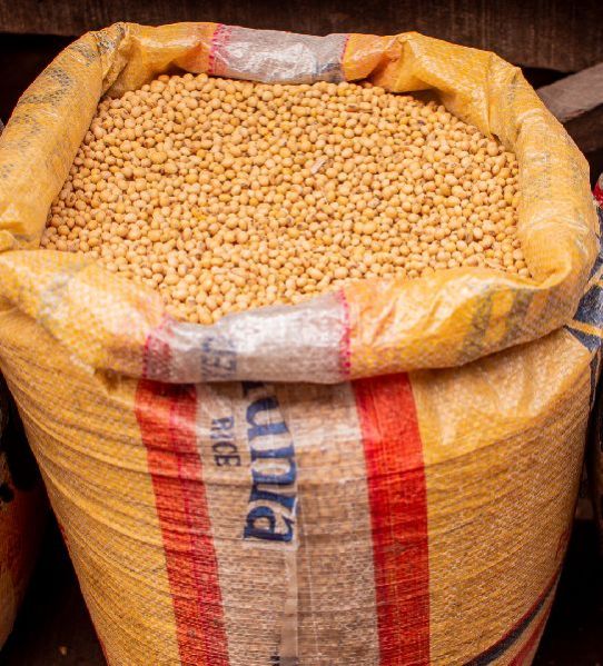 Soya Bean, Yellow Soya Beans, Soya Bean (Non GMO) whatsapp:+79604589745